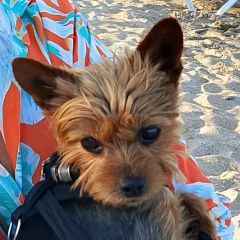 ����: ������� ������ ����������� ������ �������� ������ ������ ������� � �. �������