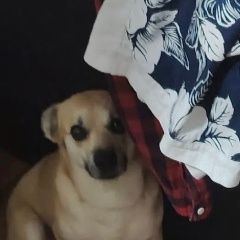 ����: ������� ������  �������� ������ ������ ������ �� ������ ����...� � �. �����������