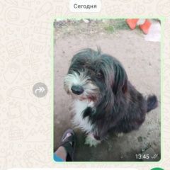 ����: ������� ������  ����������� ������� ������ ��������������.� � �. ����������