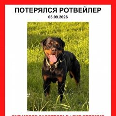 ����: ������� ������ ��������� �������� ������ ��������� �����-��������� � �. �����-���������