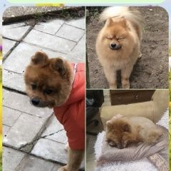 ����: ������� ������ ����������� ���� �������� ������ ������ ���� ����� ������� ������ � �. ������