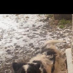 ����: ������� ������  ������� ������� ������ ������� � �. ������