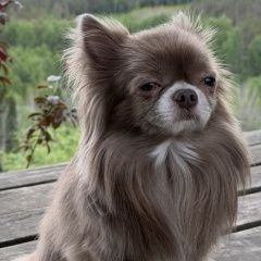 ����: ������� ������ �������� �������� ������ ������ ���������� � �. ����������