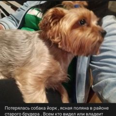 ����: ������� ������ ����������� ������ �������� ������ ����������� � �. �����������
