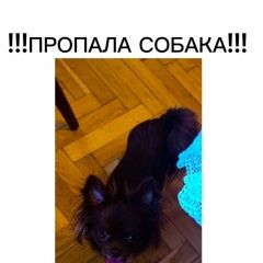 ����: ������� ������ �������� �������� ������ ������ � �. ������