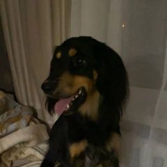����: ������� ������  �������� ������ ������ ����� ������� ������ � �. ������