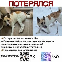 ����: ������� ������  ������ ������� ������ ������ �������� ���� � �. �����