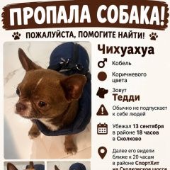 ����: ������� ������ �������� �������� ������ ������ �������� ����� ������ � �. ������