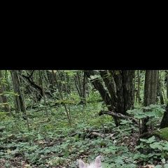 ����: ������� ������ ����������� ������ �������� ������� ������ ���������� ������ ��...� � �. �������
