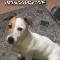 ����: ������� ������ ���� ������ ������ �������� ������ ������ ����������� � �. �����������