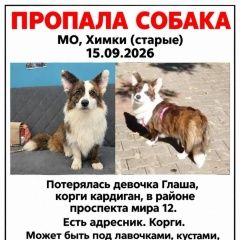 ����: ������� ������ ����� ����� �������� ������ ����� � �. �����