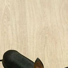 ����: ������� ������  �������� ������ ��������� � �. ���������