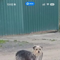 ����: ������� ������  �����-������ ������� ������ ������ ��...� � �. ����-������