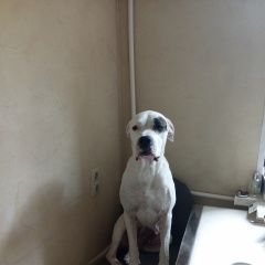 ����: ������� ������ ������������ ��� ���������� ������� ������ � �. ���������