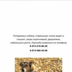 ����: ������� ������  �������� ������� ������ � �. �������