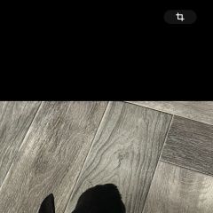 ����: ������� ������  ������� ������� ������ ���� ���, ������� 1, 7 ��...� � �. ������