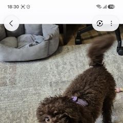 ����: ������� ������ ������ �������� ������ ��������� � �������� ���� � �. ����