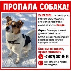 ����: ������� ������  �������� ������ ������ � �. ������