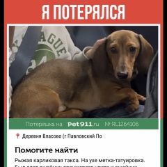 ����: ������� ������ ����� �������� ������ ������ ���������� �����....� � �. ���������� �����