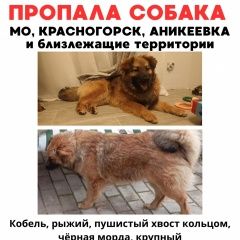 ����: ������� ������  ������������ ������� ������ ������, ��������� � �. �����������