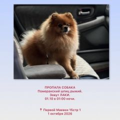 ����: ������� ������  ������� ������� ������ ������ ����������� ����� � �. ������