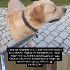 ����: ������� ������ �������� �������� ���������� ������� ������ ������ ���� ���...� � �. ���������
