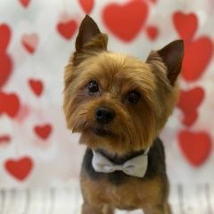 ����: ������� ������ ����������� ������ ����������� ������� ������ ������ ����������...� � �. ����������