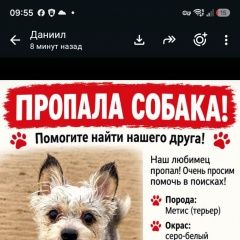 ����: ������� ������  ������-��������� ������� ������ ������� � �. �����-���������