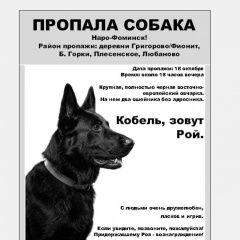 ����: ������� ������ ��������-����������� ������� ������������ ������� ������ ������ � ������...� � �. �����������