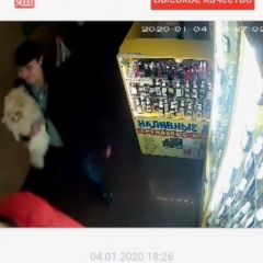 Подробнее об объявлении «Краснодар Пропала собака кобель украли собаку» Фото: пропала собака Немецкий шпиц «Краснодар Пропала собака кобель украли собаку» в г. Краснодар