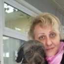 Подробнее об объявлении «Балашиха Пропала собака» Фото: пропала собака  «Балашиха Пропала собака» в г. Балашиха