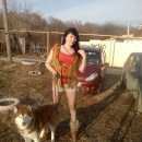 Подробнее об объявлении «Пропала собака кобель хаски рыжего окраса Нижний Новгород» Фото: пропала собака Сибирская хаски «Пропала собака кобель хаски рыжего окраса...» в г. Нижний Новгород