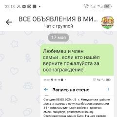 Подробнее об объявлении «Пропала собака чихуахуа Минусинск» Фото: пропала собака Чихуахуа «Пропала собака чихуахуа Минусинск» в г. Минусинск