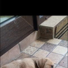 ����: ������� ������  ������������ ���� ������� ������ ������� � �. ����������� ����