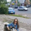 Подробнее об объявлении «Воронеж Пропала собака кобель» Фото: пропала собака Сибирская хаски «Воронеж Пропала собака кобель» в г. Воронеж