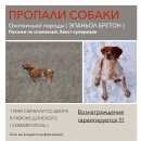 Подробнее об объявлении «Пропала собака и две охотничьи собаки Симферополь» Фото: пропала собака  «Пропала собака и две охотничьи собаки Симферополь» в г. Симферополь