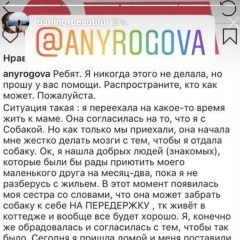 Подробнее об объявлении «Пропала собака Москва» Фото: пропала собака Французский бульдог «Пропала собака Москва» в г. Москва