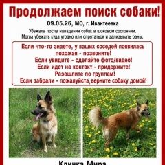 ����: ������� ������  ������� ������� ������ ������ ������������� � �. ������