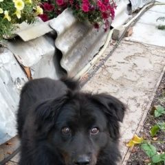 ����: ������� ������  ���������� ������� ������ ������� � �. ���������