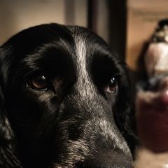 ����: ������� ������  �������� ������ ������ ������� �������� 7 ���...� � �. ������