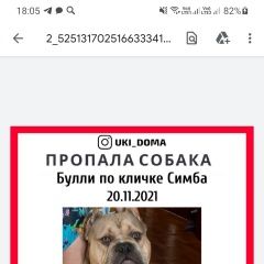 Подробнее об объявлении «Пропала собака кобель Санкт-Петербург» Фото: пропала собака Английский бульдог «Пропала собака кобель Санкт-Петербург» в г. Санкт-Петербург