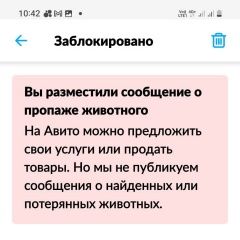 Подробнее об объявлении «Динская Пропала собака кобель китайская хохлатая без хвоста, кобель.» Фото: пропала собака Китайская хохлатая собака «Динская Пропала собака кобель китайская...» в г. Динская