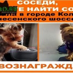 :          . 