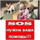 Подробнее об объявлении «Симферополь Пропала собака» Фото: пропала собака Чихуахуа «Симферополь Пропала собака» в г. Симферополь