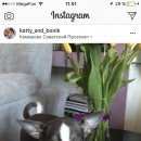 Подробнее об объявлении «Пропала собака чихуа хуа Кемерово» Фото: пропала собака Чихуахуа «Пропала собака чихуа хуа Кемерово» в г. Кемерово