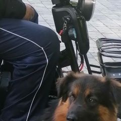 ����: ������� ������  ������� ������� ������ ������ ����� � ������...� � �. ������