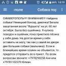Подробнее об объявлении «Симферополь Пропала собака щенок боксёра» Фото: пропала собака Боксер «Симферополь Пропала собака щенок боксёра» в г. Симферополь
