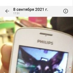 Подробнее об объявлении «Пропала собака щенок (помесь овчарки и лабрадора Санкт-Петербург» Фото: пропала собака  «Пропала собака щенок (помесь овчарки и...» в г. Санкт-Петербург