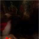 Подробнее об объявлении «Челябинск Пропала собака» Фото: пропала собака Той-терьер «Челябинск Пропала собака» в г. Челябинск