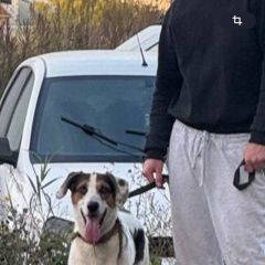 ����: ������� ������  �������� ������ ������ ���, � ���������...� � �. ������